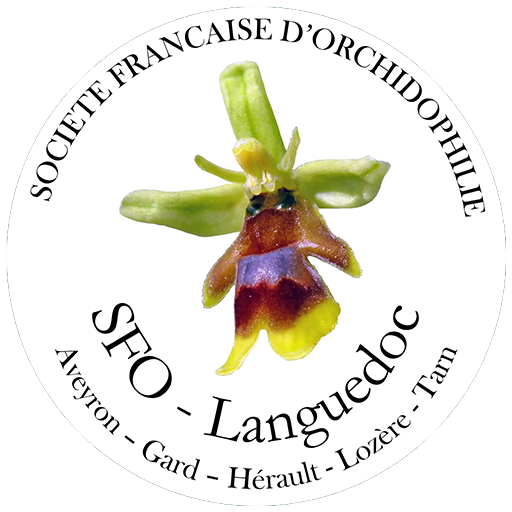 Société Française d'Orchidophilie du Languedoc