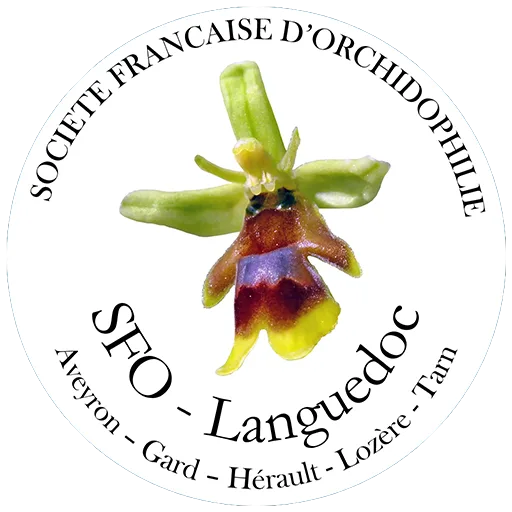 Société Française d'Orchidophilie du Languedoc
